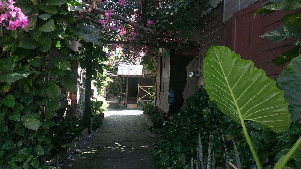Ombak Inn Chalet Kampung Teluk Nipah Εξωτερικό φωτογραφία